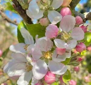 دانلود آهنگ تو که معنای عشقی به من معنا بده دانلود آهنگ تو که معنای عشقی به من معنا بده