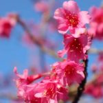 دانلود آهنگ محسن چاوشی و فرزاد فرزین واسه آبروی مردمت بجنگ
