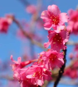 دانلود آهنگ محسن چاوشی و فرزاد فرزین واسه آبروی مردمت بجنگ