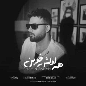 دانلود آهنگ شاهین بنان همه اولش خوبن