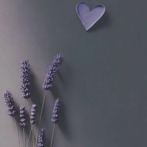 دانلود آهنگ هم دردمی هم درمونمی گل تو لویل خندونمی گل