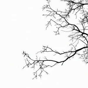 دانلود آهنگ اینجا کسی نیست حرفش سند دانلود آهنگ اینجا کسی نیست حرفش سند