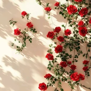 دانلود آهنگ آفتاب از اون گوشه ایوون پرید دانلود آهنگ آفتاب از اون گوشه ایوون پرید