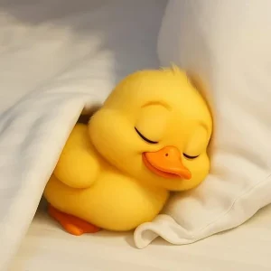 دانلود آهنگ گنجشک لالا سنجاب لالا دانلود آهنگ گنجشک لالا سنجاب لالا