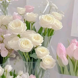 دانلود آهنگ قدو ببین یا خدا فیسو ببین یا خدا