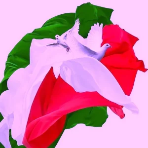 دانلود آهنگ سرباز ایران