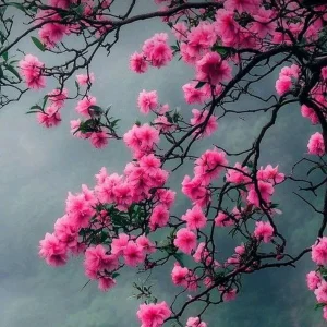 دانلود آهنگ یک خنده کن ای گول دانلود آهنگ یک خنده کن ای گول