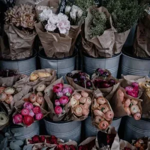 دانلود آهنگ نمردم قوی تر شدم یه ببر مست زخمی شدم