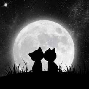دانلود آهنگ امشب شب عشقه با تو قلبم تو بهشته دانلود آهنگ امشب شب عشقه با تو قلبم تو بهشته