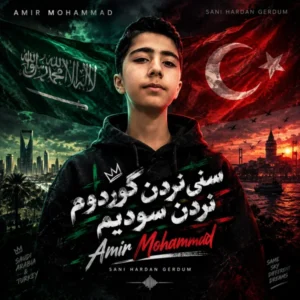 دانلود اهنگ امیر محمد سنی نردن گوردوم نردن سودیم دانلود اهنگ امیر محمد سنی نردن گوردوم نردن سودیم